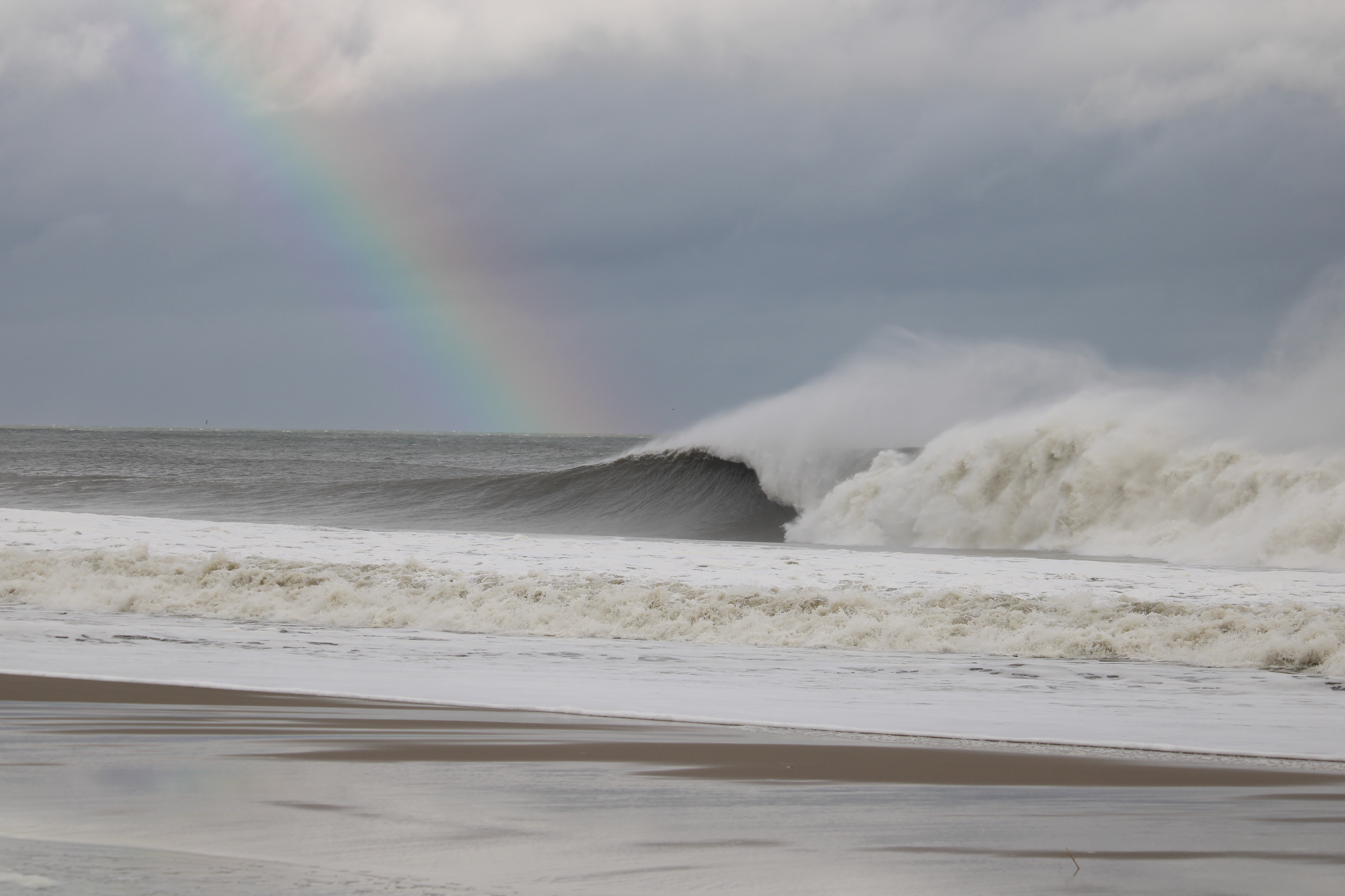 Surf Banner